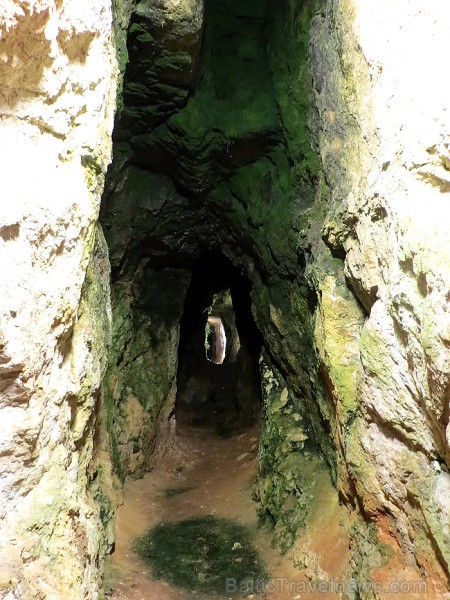 Atklāj siera pasauli Rokforta pilsētas alās 91551