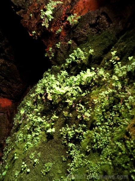 Atklāj siera pasauli Rokforta pilsētas alās 91552