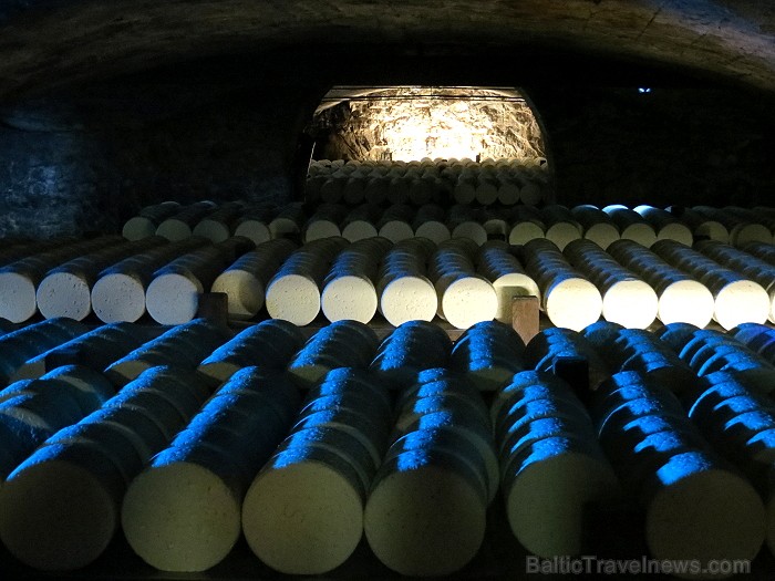 Siera plaukti Rokfortas alās 91560