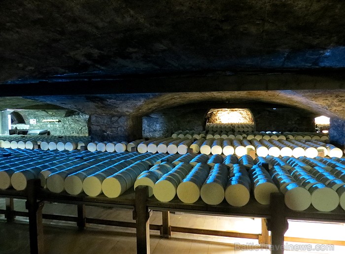 Siera plaukti Rokfortas alās 91561