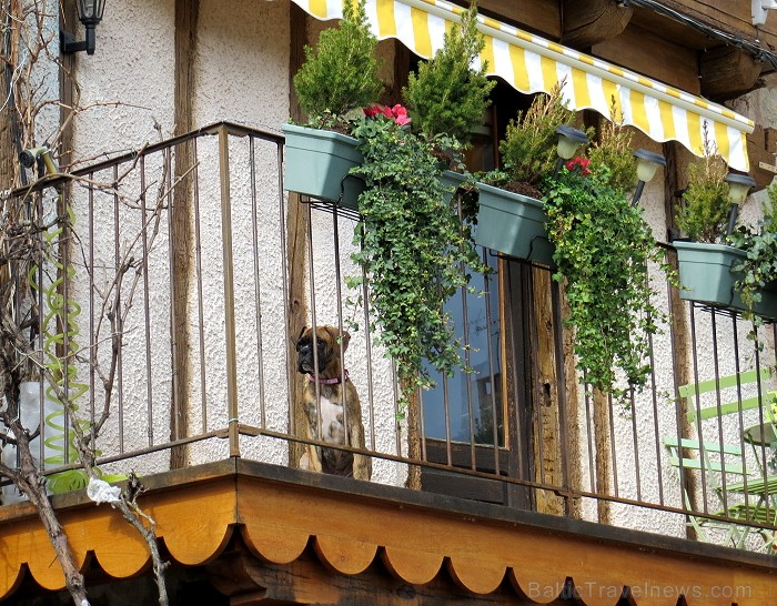 Pirmo reizi ieraugot 13. gadsimta pilsētu Najac, rodas sajūta, ka esi nokļuvis pasakā: mazas brīnišķīgas mājiņas ir izvietojušās gar vienu galveno pil 91972