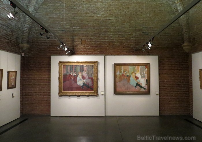 Albi ir slavenā mākslinieka Tulūza-Lotreka dzimtā pilsēta. Šeit arī atrodas lielākā viņa darbu kolekcija - vairāk nekā 500 uzmetumu, gleznu, litogrāfi 91991