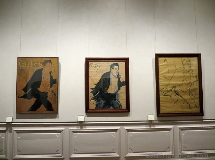 Albi ir slavenā mākslinieka Tulūza-Lotreka dzimtā pilsēta. Šeit arī atrodas lielākā viņa darbu kolekcija - vairāk nekā 500 uzmetumu, gleznu, litogrāfi 91994