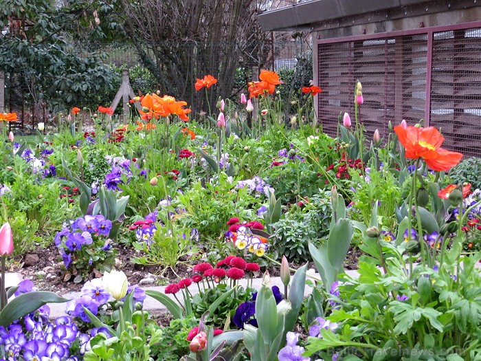 Albi ir senā bīskapa pilsēta, kas atrodas Tulūzā (Francija). Gandrīz visas tās ēkas ir celtas no sarkana ķieģeļa. Slavenākā no tām ir Sainte-Cécile ka 92020