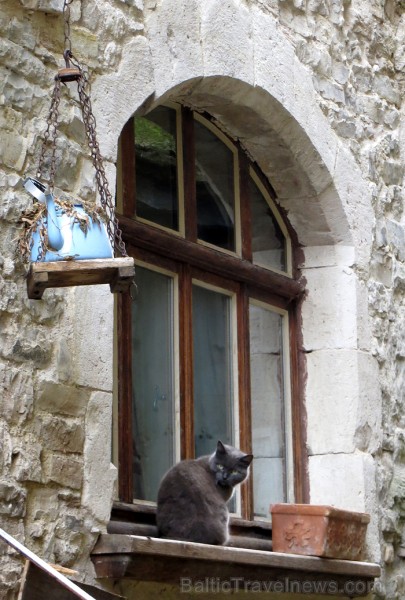Cordes-sur-Ciel tulkojumā nozīme Diegi debesīs. 1222.g. šo labi nocietināto pilsētu uzcēla Tulūzas grāfs Raimonds VII. 14.gs. pilsētu apdzīvoja šuvēji 92484