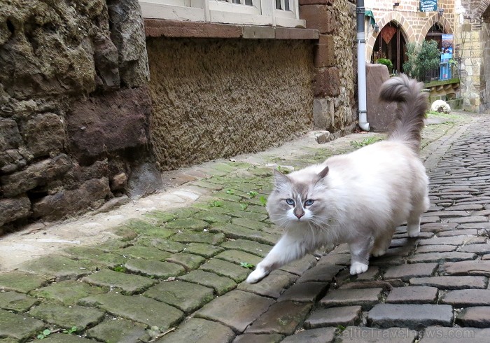 Cordes-sur-Ciel tulkojumā nozīme Diegi debesīs. 1222.g. šo labi nocietināto pilsētu uzcēla Tulūzas grāfs Raimonds VII. 14.gs. pilsētu apdzīvoja šuvēji 92489