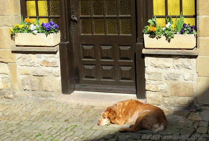 Cordes-sur-Ciel tulkojumā nozīme Diegi debesīs. 1222.g. šo labi nocietināto pilsētu uzcēla Tulūzas grāfs Raimonds VII. 14.gs. pilsētu apdzīvoja šuvēji 92539