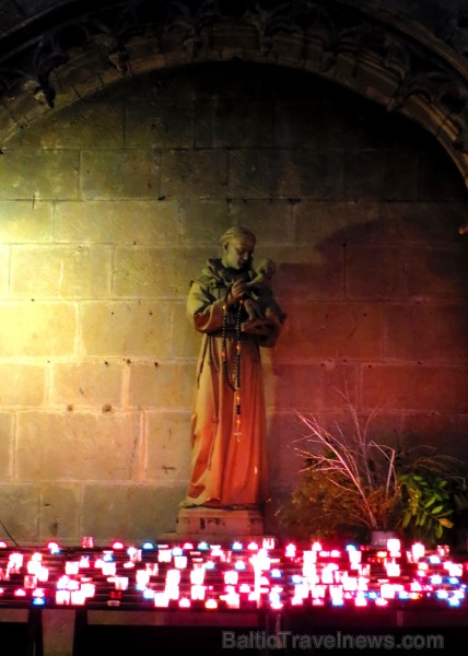 Brīnišķīgā pilsēta Karkasona Francijā ir viens no nedaudziem viduslaiku pieminekļiem, kas ir saglabājies gandrīz neskarts. Ilgus gadus te dzīvoja Volt 93019