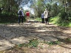 Kurš gan to pateiks, cik cilvēki ir pa šo veco ceļu staigājuši? 12