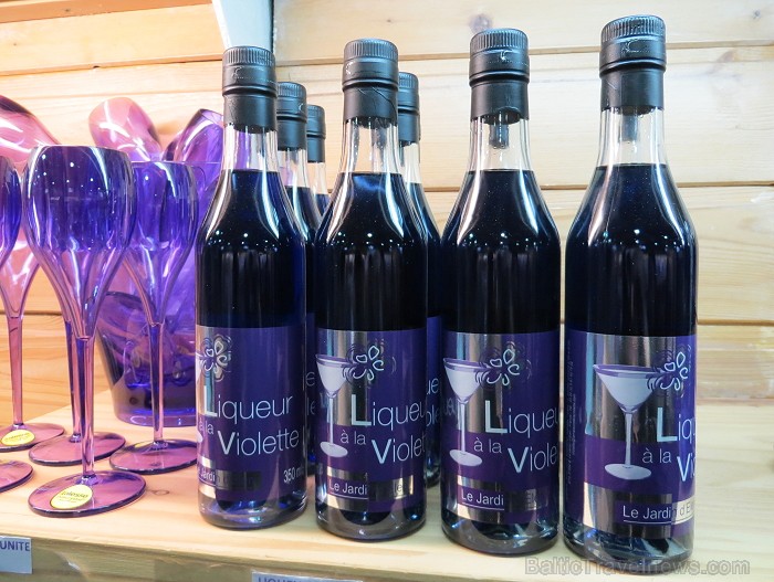 Francijas pilsētas Tulūza simbols ir vijolīte. Šo puķi te kultivē jau 150 gadus un izmanto diezgan neparastā veidā: ražo ievārījumus, liķierus, dekoru 93790