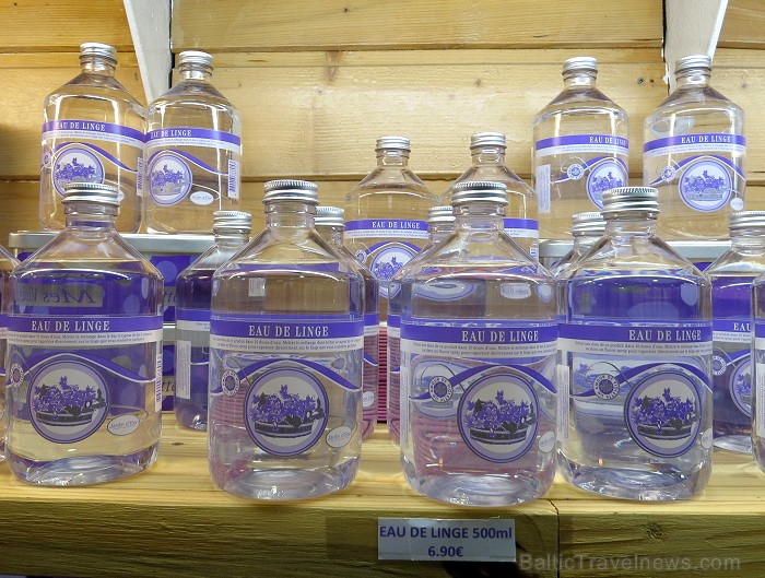 Francijas pilsētas Tulūza simbols ir vijolīte. Šo puķi te kultivē jau 150 gadus un izmanto diezgan neparastā veidā: ražo ievārījumus, liķierus, dekoru 93793