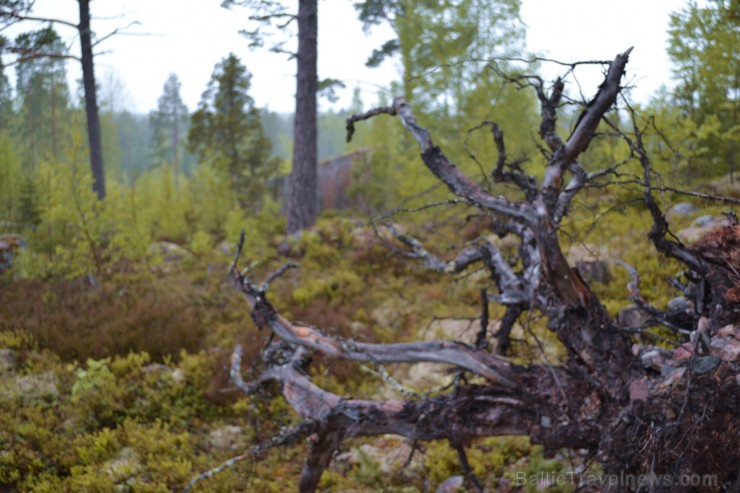 Senās Kulta Vietas – Baltijas Jūras Piekrastes Kopīgā Identitāte
ancientsites.eu 95014