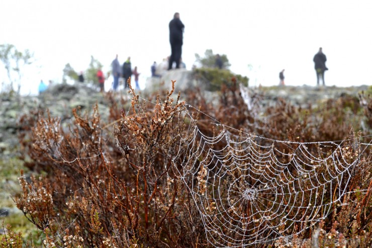 Senās Kulta Vietas – Baltijas Jūras Piekrastes Kopīgā Identitāte 95054