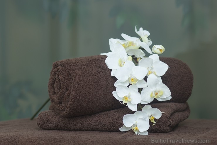 Viesnīcas telpās atrodas Wellton Spa, kas ir veselības un skaistuma centrs ar peldbaseinu, burbuļvannu, saunu un tvaika pirti Viesnīcas telpās atrodas Wellton Spa, kas ir veselības un skaistuma centrs ar peldbaseinu, burbuļvannu, saunu un tvaika pirti 112620