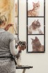 Dino Zoo arēnā notikusi Latvijas šnauceru kluba izstāde 9