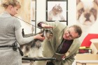 Dino Zoo arēnā notikusi Latvijas šnauceru kluba izstāde 10