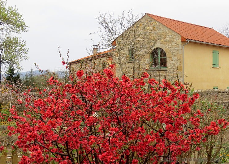 Travelnews.lv iepazīst Francijas viduslaiku ciematu Montpeyroux Overņas reģionā 122641