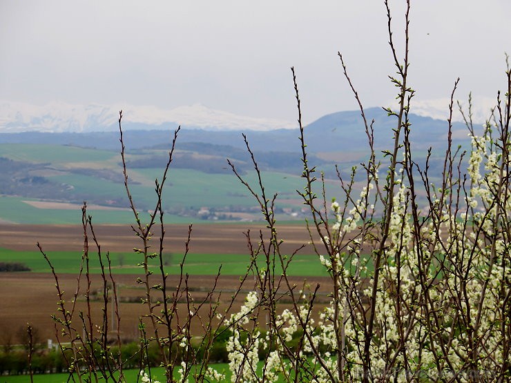 Travelnews.lv iepazīst Francijas viduslaiku ciematu Montpeyroux Overņas reģionā 122647