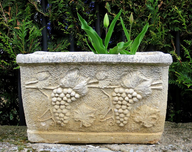 Travelnews.lv iepazīst Francijas viduslaiku ciematu Montpeyroux Overņas reģionā 122677