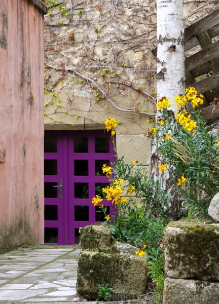 Travelnews.lv iepazīst Francijas viduslaiku ciematu Montpeyroux Overņas reģionā 122686