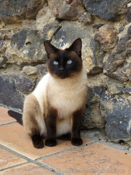 13. gadsimta pils Saint Saturnin gaida romantisku ceļojumu meklētājus www.chateaudesaintsaturnin.com 124848