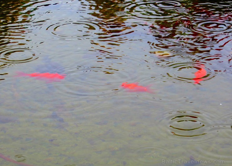 13. gadsimta pils Saint Saturnin gaida romantisku ceļojumu meklētājus www.chateaudesaintsaturnin.com 124850