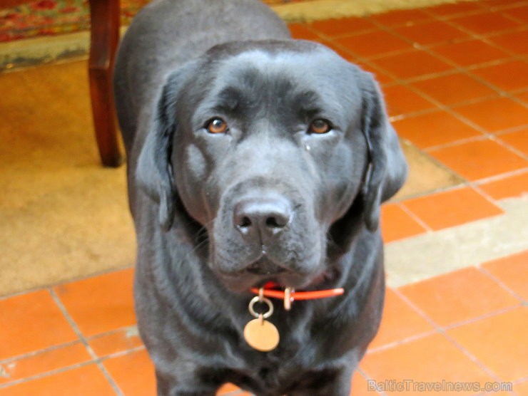 Travelnews.lv atklāj Overņas reģiona noslēpumus tās galvaspilsētā Klermonferānā 125514