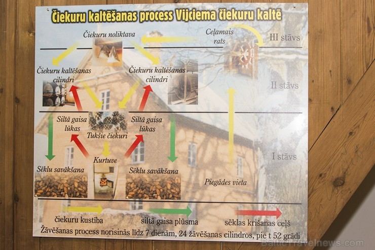 19. gadsimta beigās Ziemeļvidzemi skāra plaši meža ugunsgrēki, tādēļ Vijciemā tika uzcelta čiekurkalte – vieta, kur no čiekuriem tiek iegūtas sēklas j 19. gadsimta beigās Ziemeļvidzemi skāra plaši meža ugunsgrēki, tādēļ Vijciemā tika uzcelta čiekurkalte – vieta, kur no čiekuriem tiek iegūtas sēklas j 126653