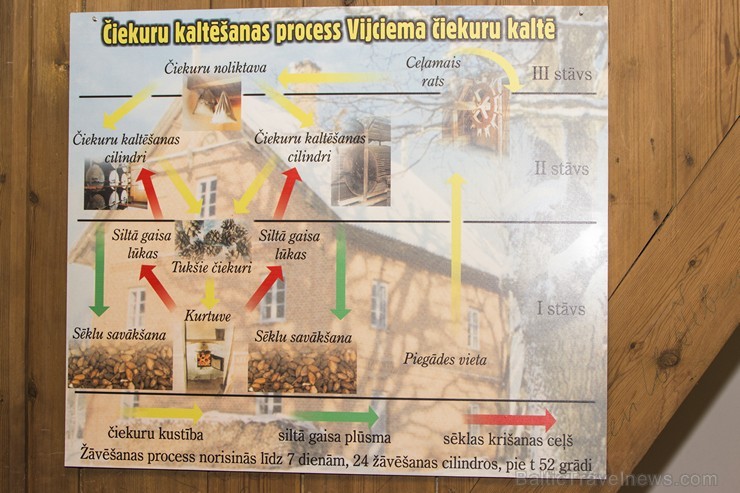 19. gadsimta beigās Ziemeļvidzemi skāra plaši meža ugunsgrēki, tādēļ Vijciemā tika uzcelta čiekurkalte – vieta, kur no čiekuriem tiek iegūtas sēklas j 126653