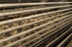 Vijciema čiekurkaltē, iespējams paša acīm pārliecināties, ka arī šodien sēklas jaunu mežu audzēm tiek iegūtas, izmantojot tās pašas – vairāk nekā 100  8