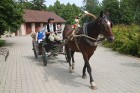 Jaunmoku pils 6.07.2014 svinēja 7.Dārza svētkus un 14.starptautiskā Baha festivāla Vasaras koncertu «Laiks svinēt! DZĪVI.». Vairāk informācijas - www. 4