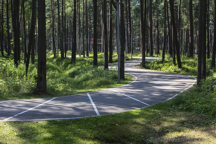 Dzintaru Mežaparku un skatu torni iecienījuši gan jūrmalnieki gan Jūrmalas viesi 129665