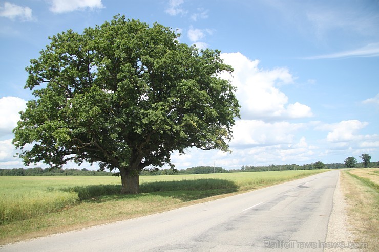 Travelnews.lv redakcija iepazīst Jaunpils dārgumus un atgādina, ka 9.augustā notiks Viduslaiku svētki. Foto atbalsts no Jaunpils pils Travelnews.lv redakcija iepazīst Jaunpils dārgumus un atgādina, ka 9.augustā notiks Viduslaiku svētki. Foto atbalsts no Jaunpils pils 130190