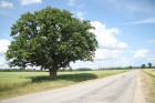 Travelnews.lv redakcija iepazīst Jaunpils dārgumus un atgādina, ka 9.augustā notiks Viduslaiku svētki. Foto atbalsts no Jaunpils pils 1