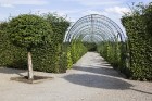 10 ha lielais baroka stila franču dārzs ir ievērojamākais vēsturiskais dārzs Baltijā. Dārzs tika ierīkots paralēli pils būvniecībai no 1736. līdz 1740 22