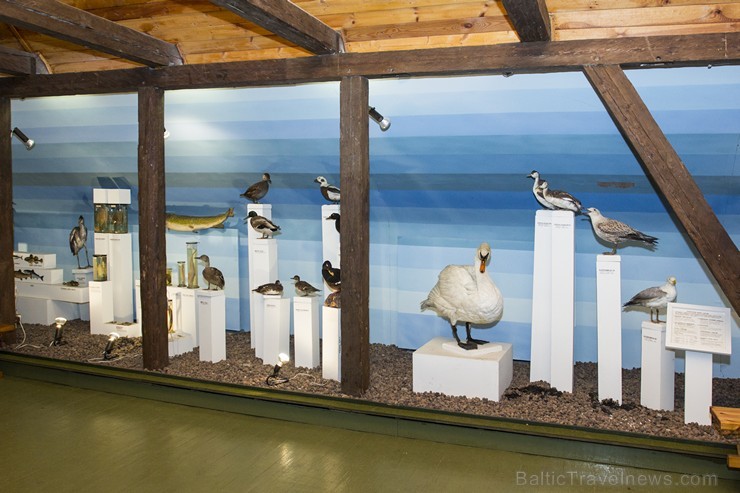 18.–19. gs. būvētajā Ķirbižu muižas kompleksa klētī-labības kaltē kopš 1989. gada darbojas Ziemeļlatvijā vienīgais meža muzejs. 130490