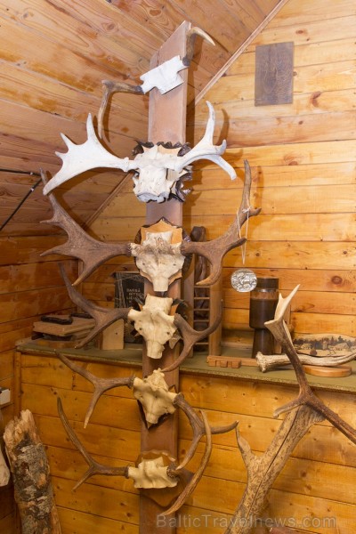 18.–19. gs. būvētajā Ķirbižu muižas kompleksa klētī-labības kaltē kopš 1989. gada darbojas Ziemeļlatvijā vienīgais meža muzejs. 130496