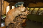 18.–19. gs. būvētajā Ķirbižu muižas kompleksa klētī-labības kaltē kopš 1989. gada darbojas Ziemeļlatvijā vienīgais meža muzejs. 2