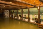 18.–19. gs. būvētajā Ķirbižu muižas kompleksa klētī-labības kaltē kopš 1989. gada darbojas Ziemeļlatvijā vienīgais meža muzejs. 10