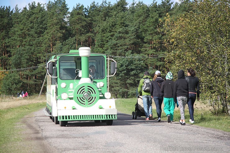 Līdz «Lotes zemei» no autostāvvietas ir jāiet kājām 800 metri vai aŗī drīkst braukt ar vilcieniņu par 1 eiro no personas 131729