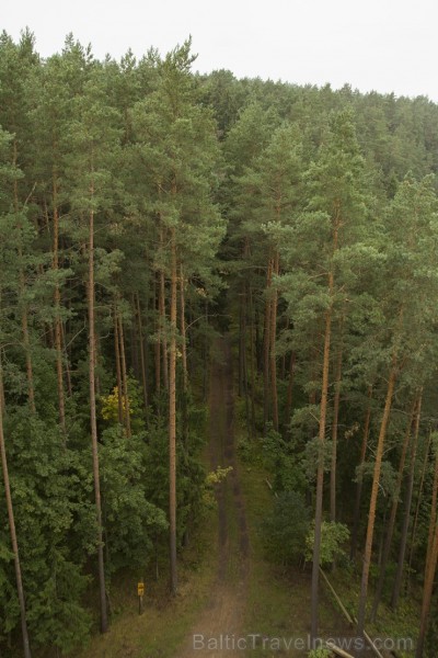 Priedaines skatu tornis ir otrs augstākais koka skatu tornis Latvijā 133526