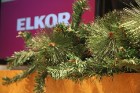 Rīgas liielākas suvenīru veikals «Elkor» atrodas uz Brīvības ielas pie Brīvības pieminekļa 35