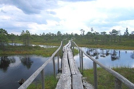 Liela_Kemeru_tirela_laipa 