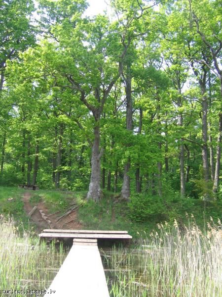 Piloru-un-Pahatnieku-ozolu-audzes 