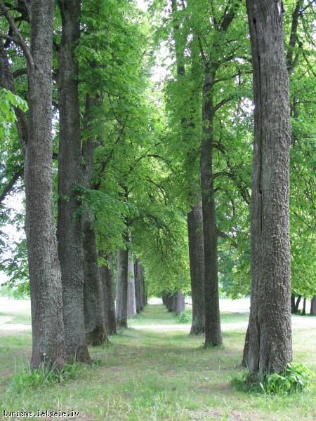 Baltinavas-muizas-parks 