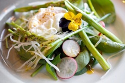 Seasonal flavours at Tapas Tapas!   Wellton Riga Hotel & SPA 