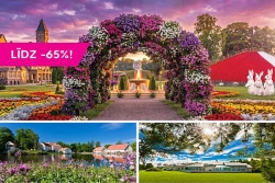 Summer’s best offers await you!
