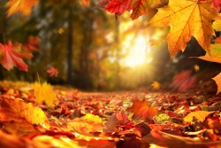Holiday and travel offers 27.09.2023 - 05.10.2023 Explore Trakai in Fall Trakai TIC